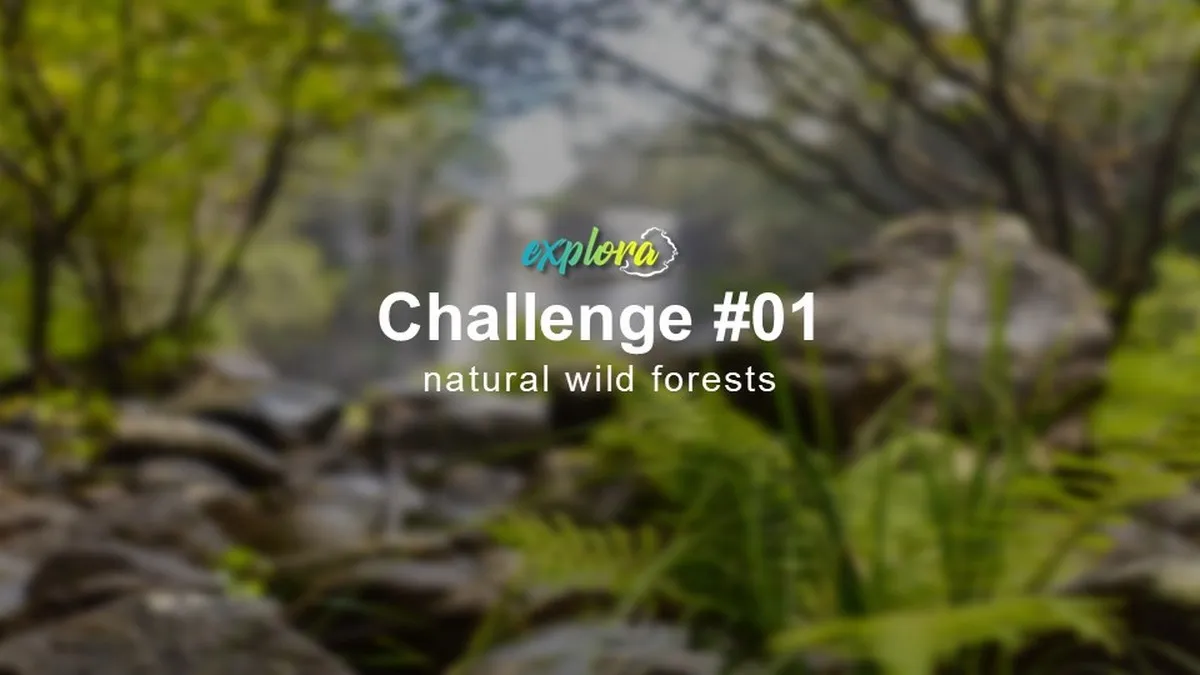 Natural wild forest photo contest in Mauritius featuring forest and nature photography