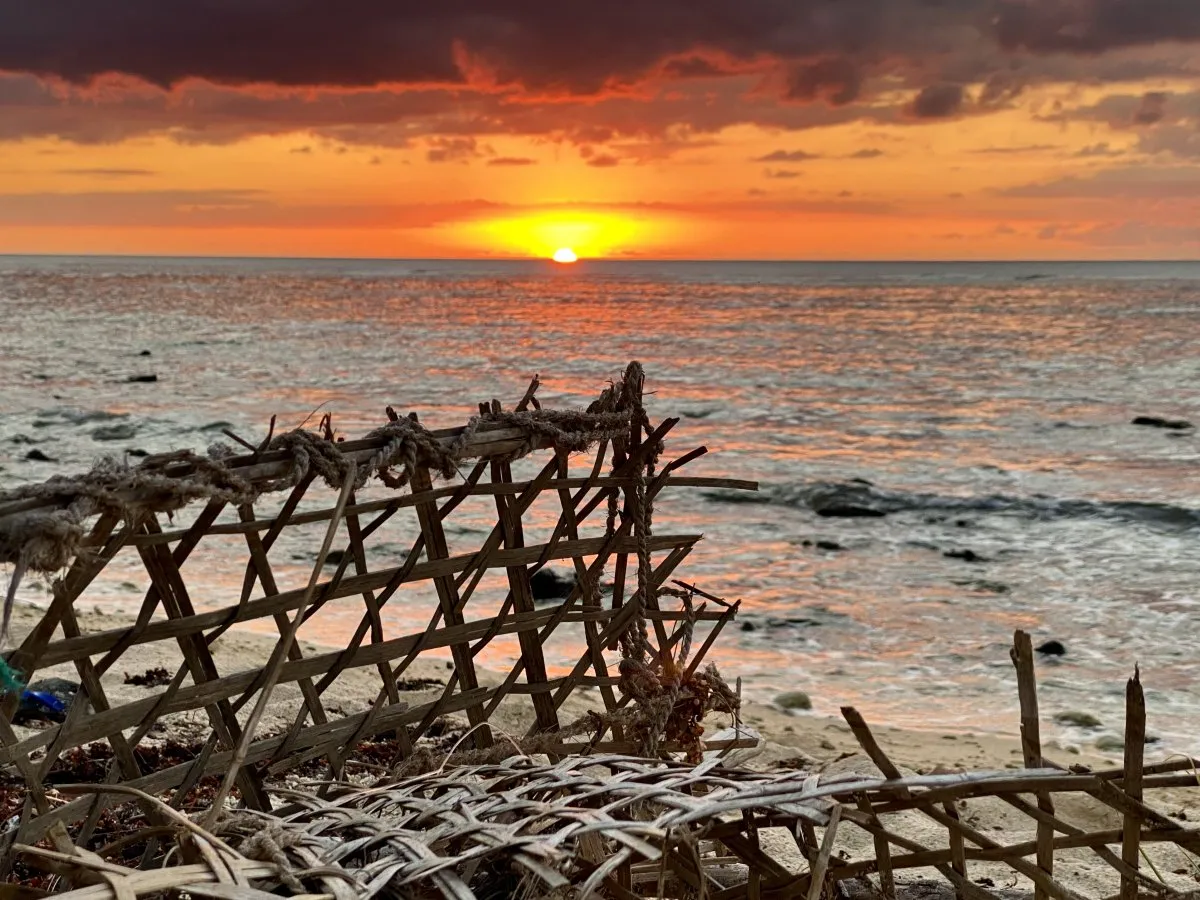 Basket fishing trap made of dried grasses on Pointe aux Piments beach in Mauritius at sunset
