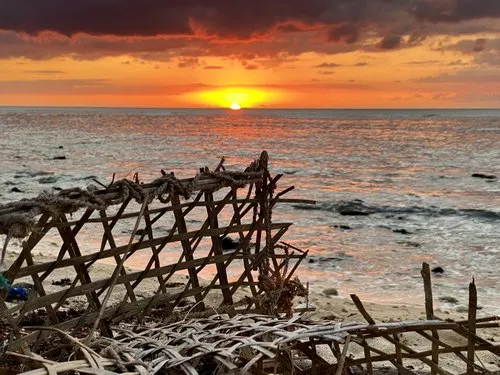 Basket fishing trap at Pointe aux Piments beach