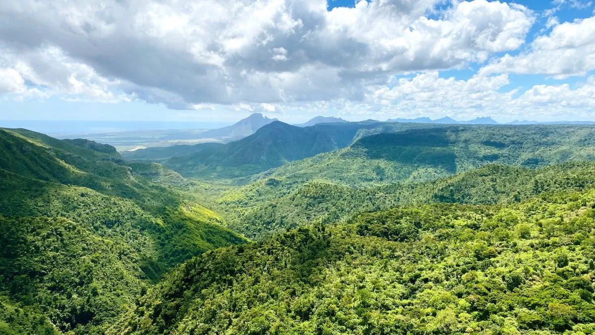 Wide landscape view of Black River Gorges National Park with forest and mountains in Mauritius