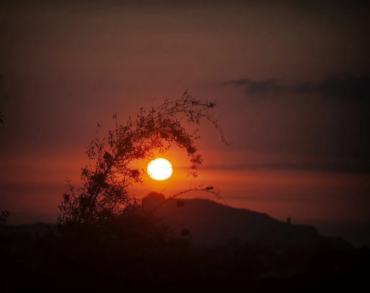 Orangish sunset over mountain with bamboo tree in Mauritius under reddish sky