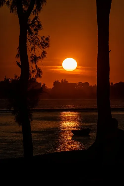 Sunset between trees silhouettes at St Felix beach
