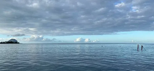 Paddling near dolphins in Tamarin Bay