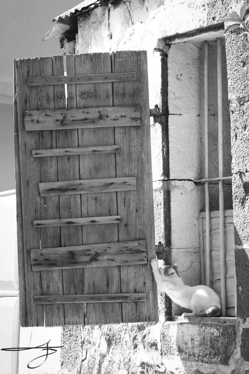 Wooden window of an old house in Port Louis