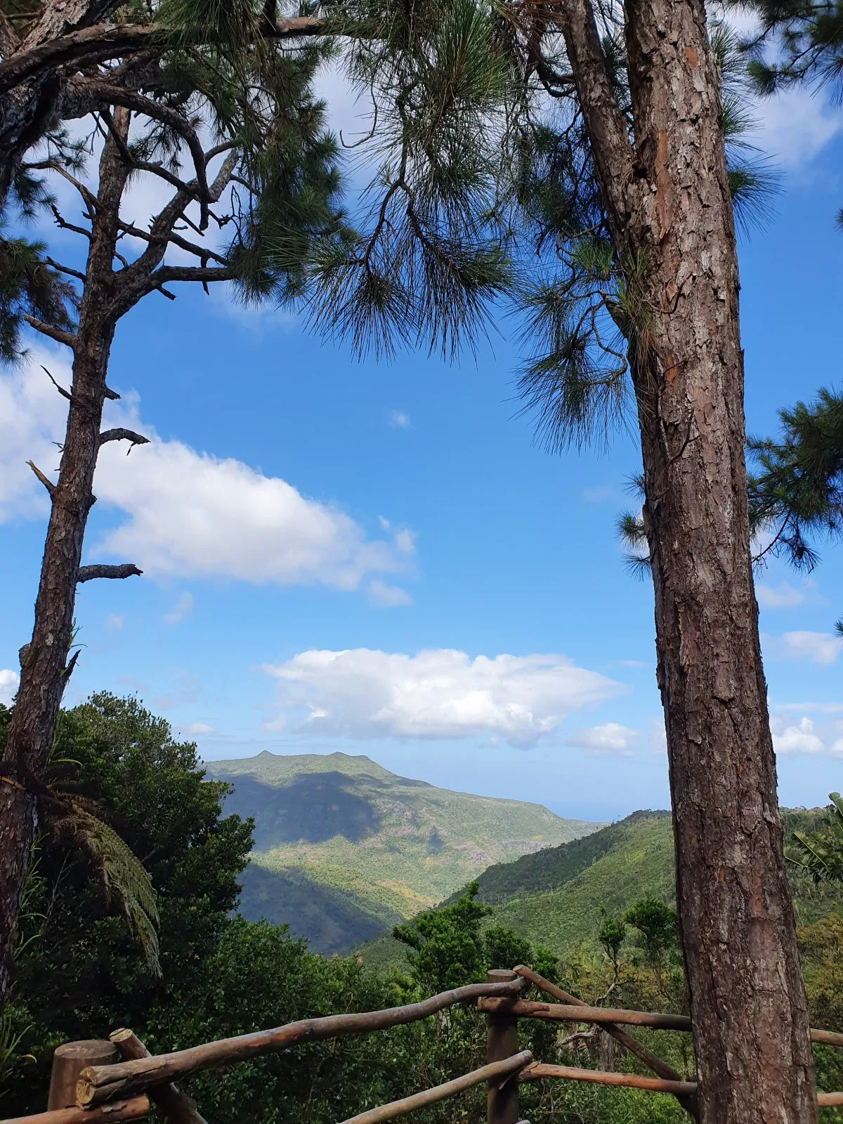View of mountains from a wooden structure along Petrin Trail in Mauritius surrounded by forest