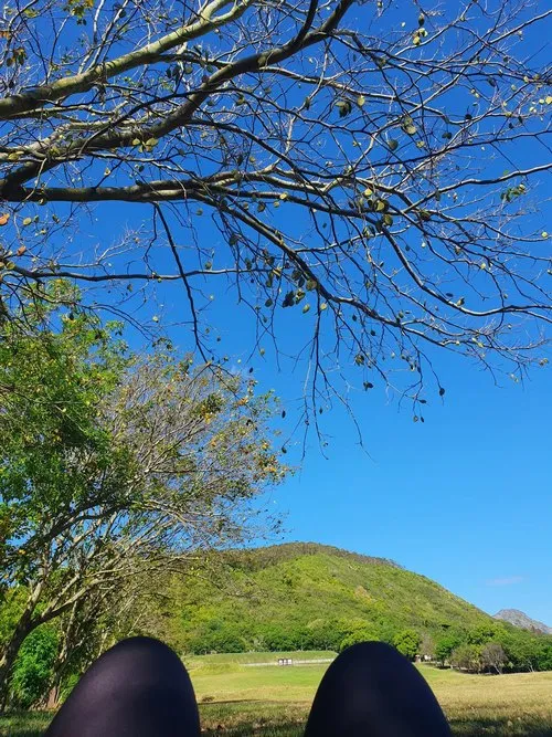 View of lush Candos Hill in Quatre Bornes