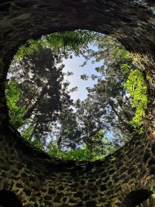 Low angle view of secret & old well at Bras d'eau