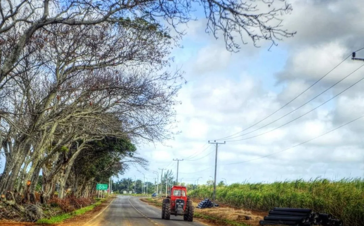 Red tractor driving along a road in lush Ferney village, Mauritius, surrounded by trees and sugarcane fields