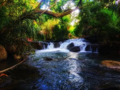 Amazing Cascade Deep river at Olivia surrounded by plants