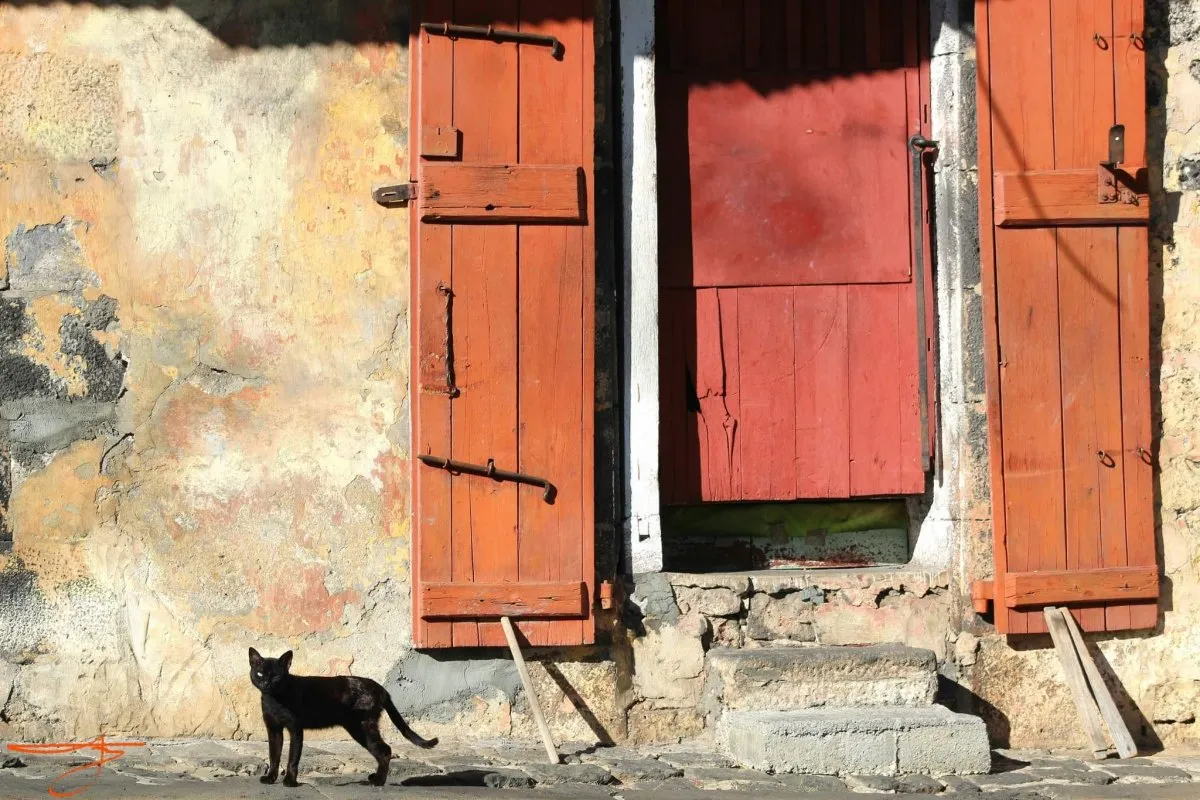 Old house with wooden red door and black cat walking on pavement in Port Louis, Mauritius