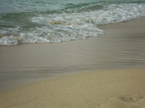 Sea waves in front of royal palm hotel