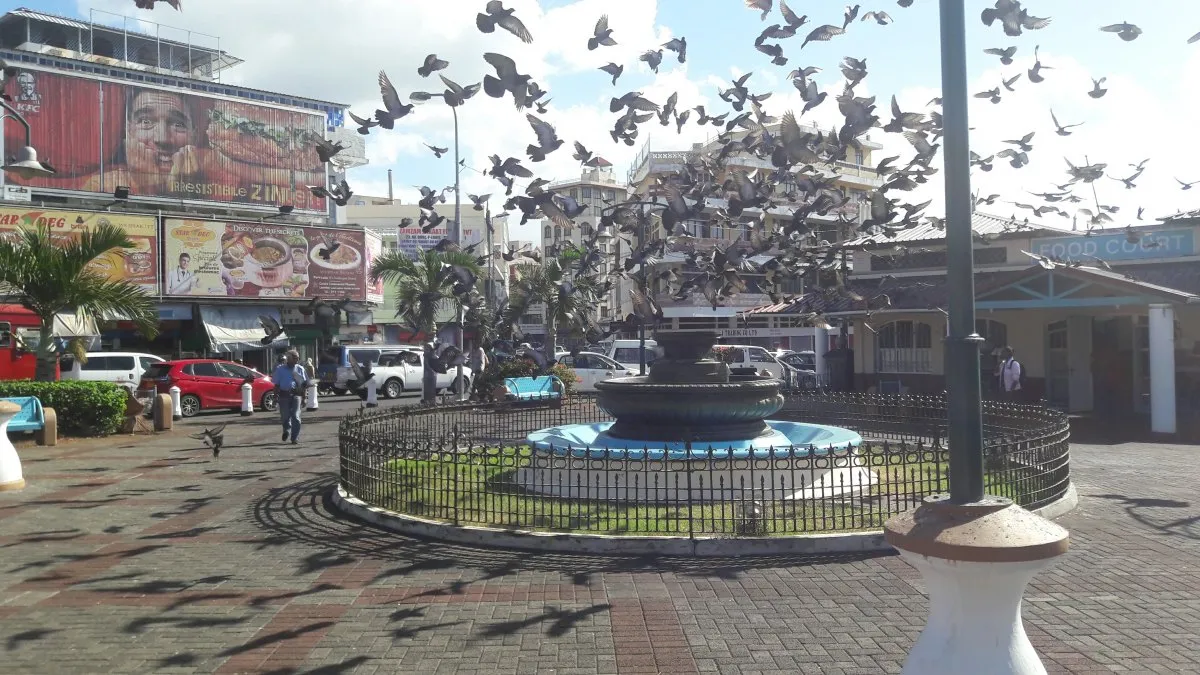 Pigeons flying over Khadafi Square in Plaine Verte, Mauritius on a clear day