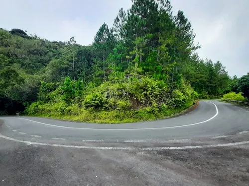 Plaine Champagne to Chamarel Road U-turn in forest