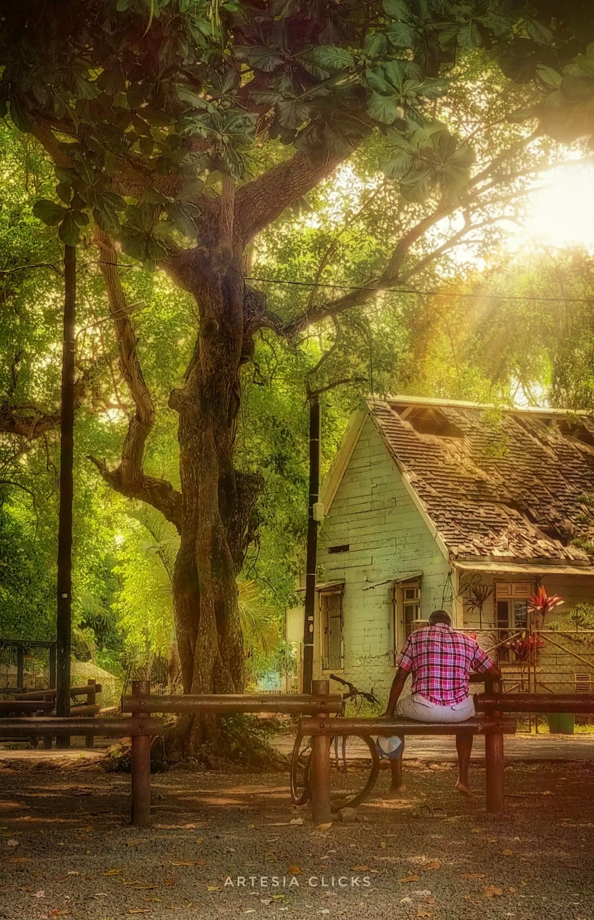 Elderly man sitting under a tree near an old colonial house in Mahebourg, Mauritius
