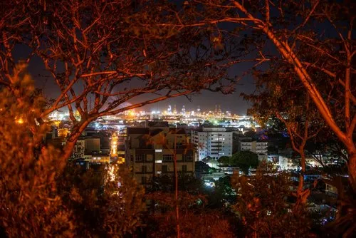 View of illuminated Port Louis harbor from La Citadelle at night