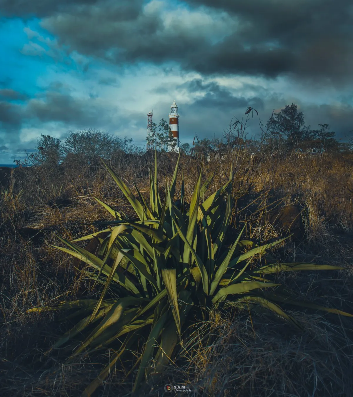 Albion Lighthouse on a cliff under a dramatic, cinematic sky in Mauritius
