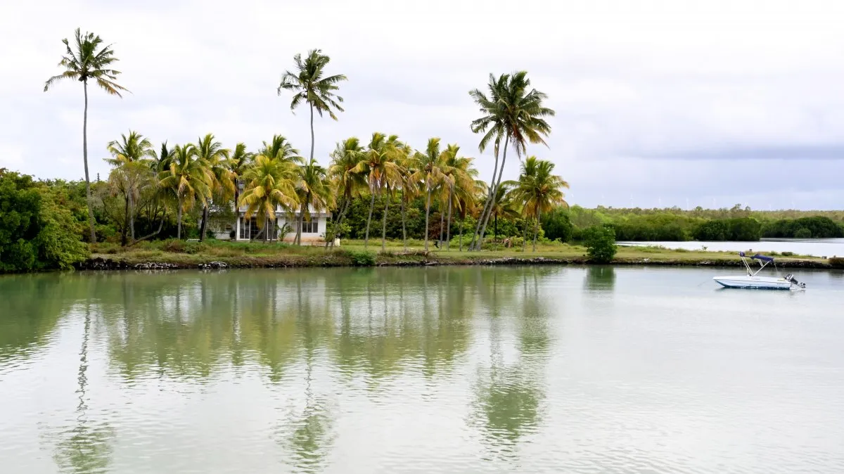 House behind coconut trees at Barachois of Roche Noire coastal area in Mauritius
