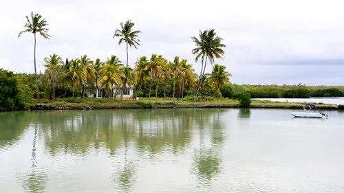 Peaceful house behind coconut trees at barachois of Roche Noire