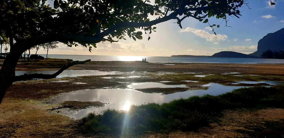 Serene tidal pools and rocky beach at La Prairie in Mauritius during low tide with distant sea view