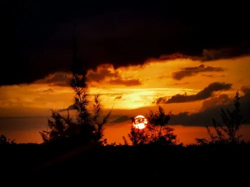 Silhouette view of sunset at Port Louis