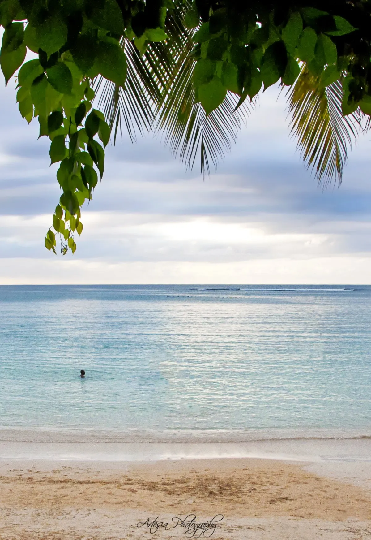 View of Pereybere Beach in Mauritius framed by green leaves with calm lagoon waters