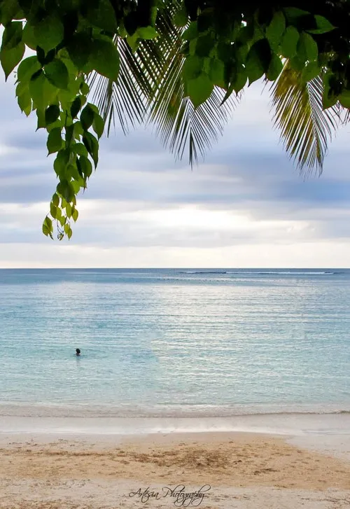 Pereybere beach in Mauritius framed by leaves