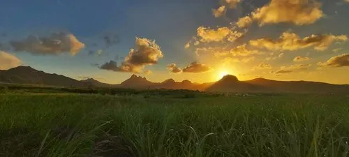 Panorama with sugarcane field & sunset at Les Mariannes