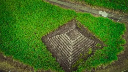 Aerial view of flat top pyramid stones in sugarcane fields