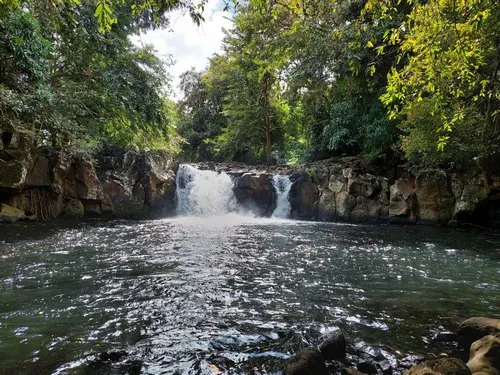 Savanne waterfall surrounded by trees in Chamouny