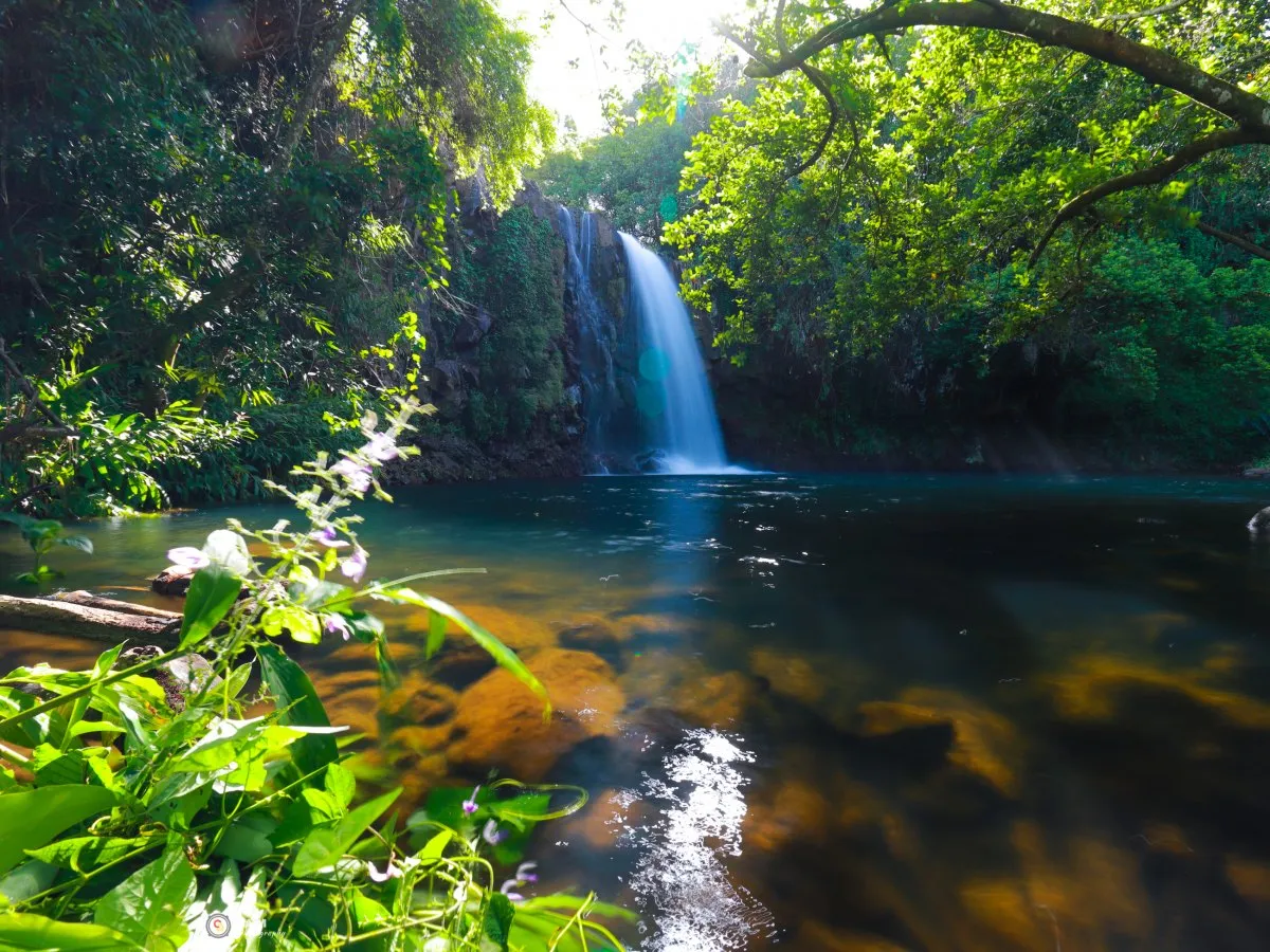 Long exposure photo of Minissy Waterfall surrounded by lush greenery in Moka, Mauritius