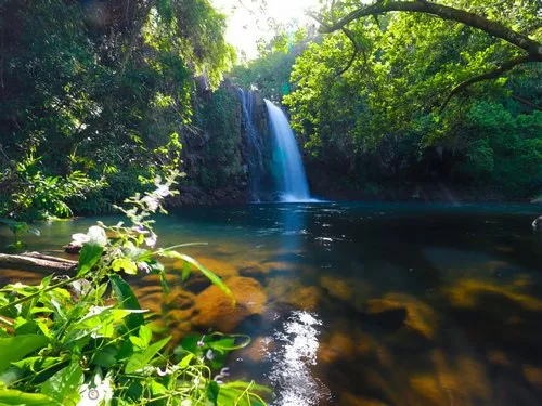 Cascade Minissy surrounded by green vegetation in Moka