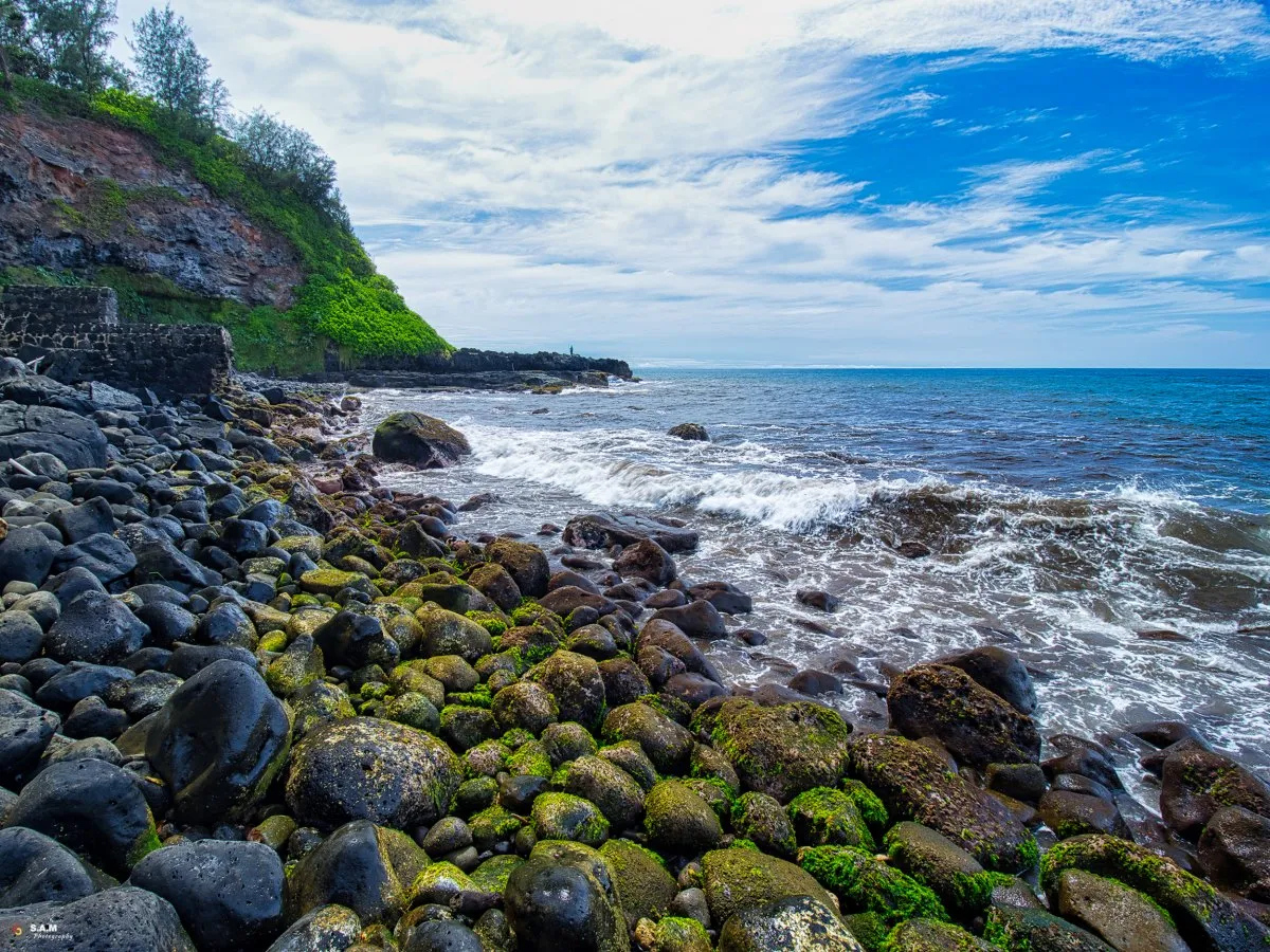 Green moss-covered round pebbles on the beach shore at Gris Gris Mauritius