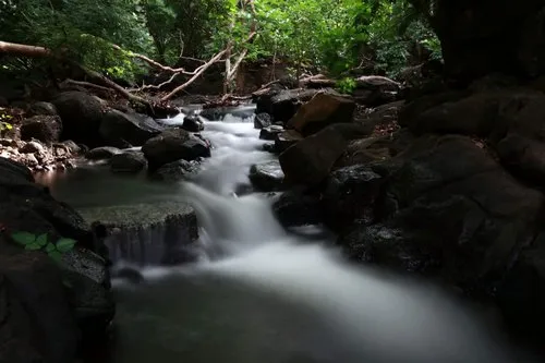 Clear & peaceful water stream in Yemen, Tamarin