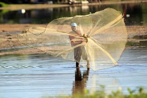 Fisherman throwing his net during early morning at Tamarin
