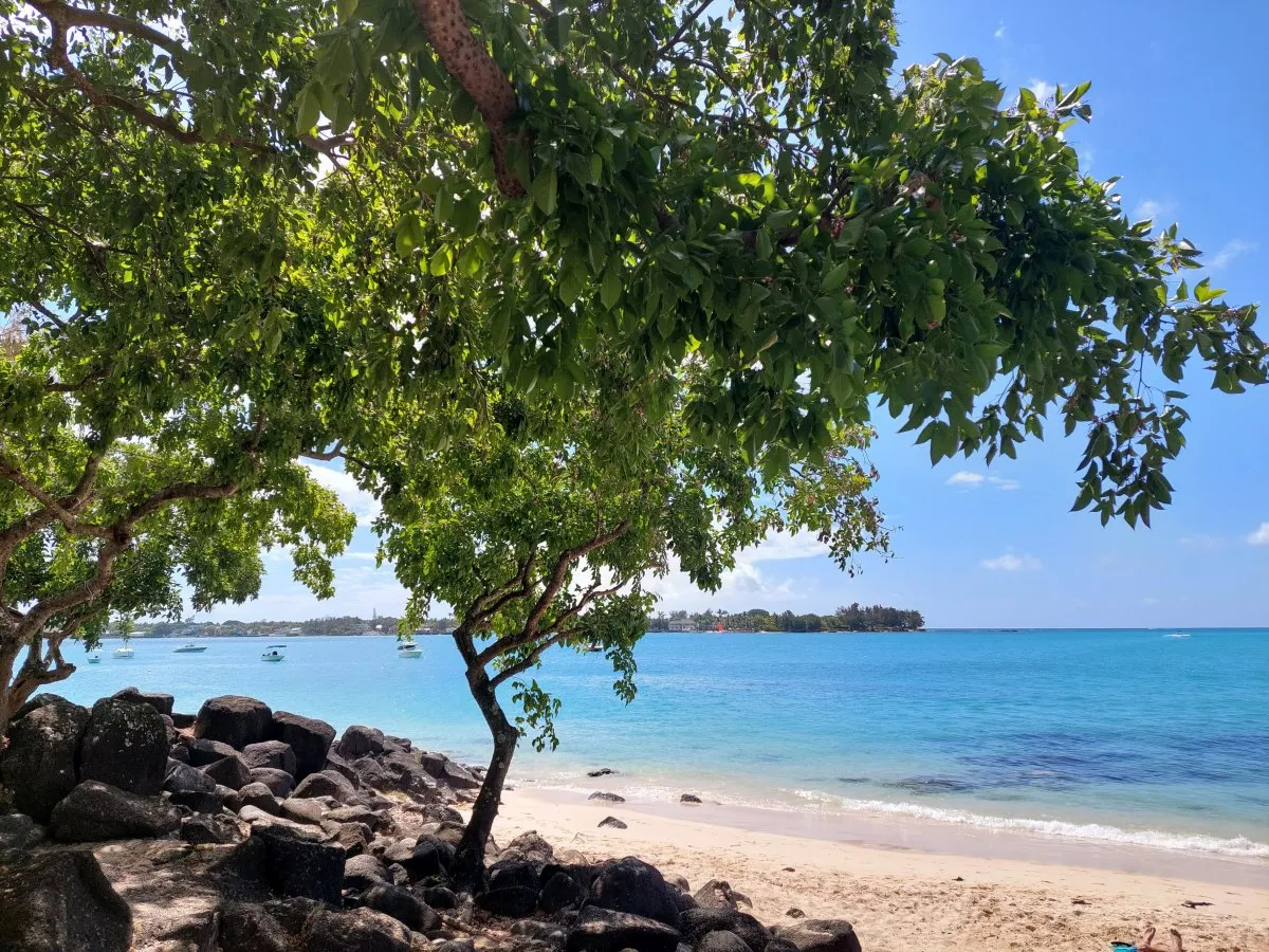 Scenic La Cuvette Beach near Royal Palm Hotel in Mauritius with calm waters and trees