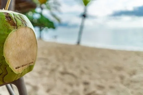 Paradis Coconut on Mauritius hotel beach