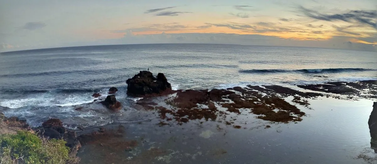 Panoramic landscape of Gris Gris Beach showing exposed rocks at low tide in Mauritius