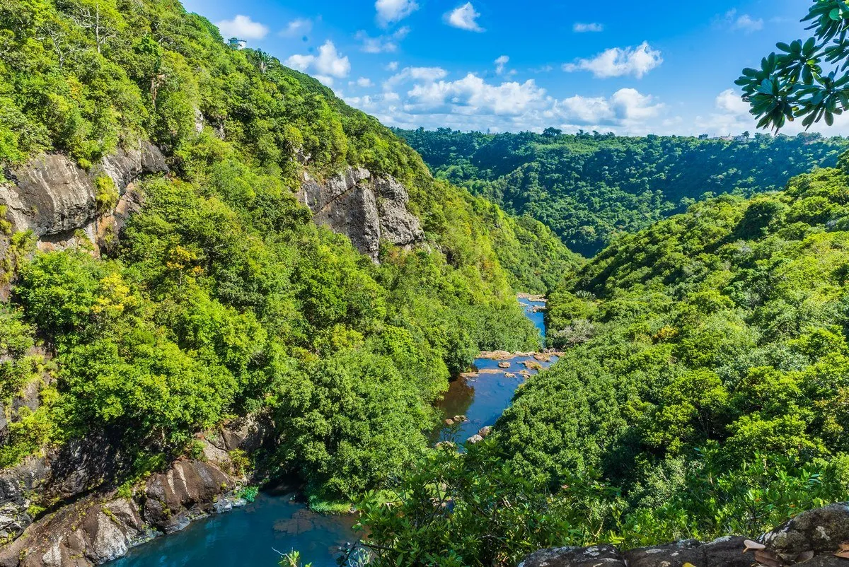 Aerial view of Tamarind River flowing through lush forest and waterfalls at 7 Cascades in Mauritius
