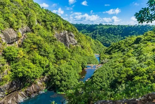 Top view of Tamarind river from 7 Cascades