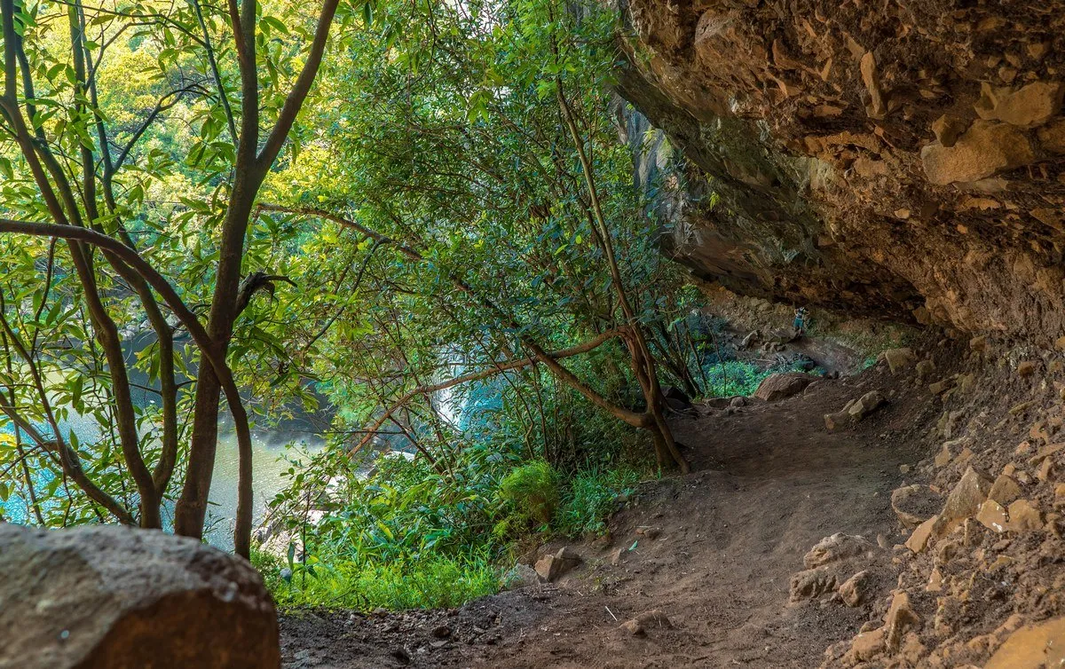 Pathway through forest near terraced earth at 7 Cascades in Mauritius with lush greenery