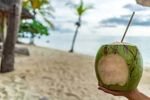 Drinking coconut water with straw on the beach