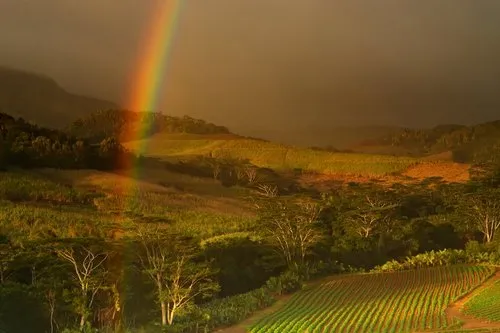 Rainbow over Chamarel during a stormy day