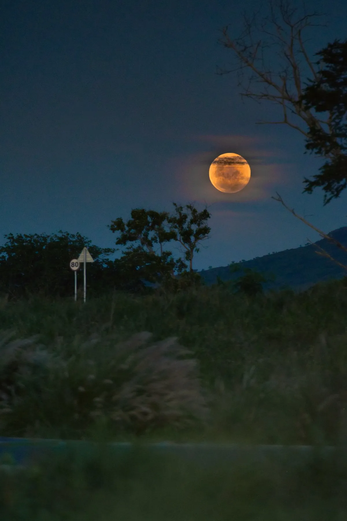 Yellow full moon shining over bushes in a remote area of Mauritius at night