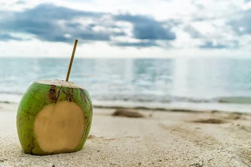 Beach Coconut laid on the seashore
