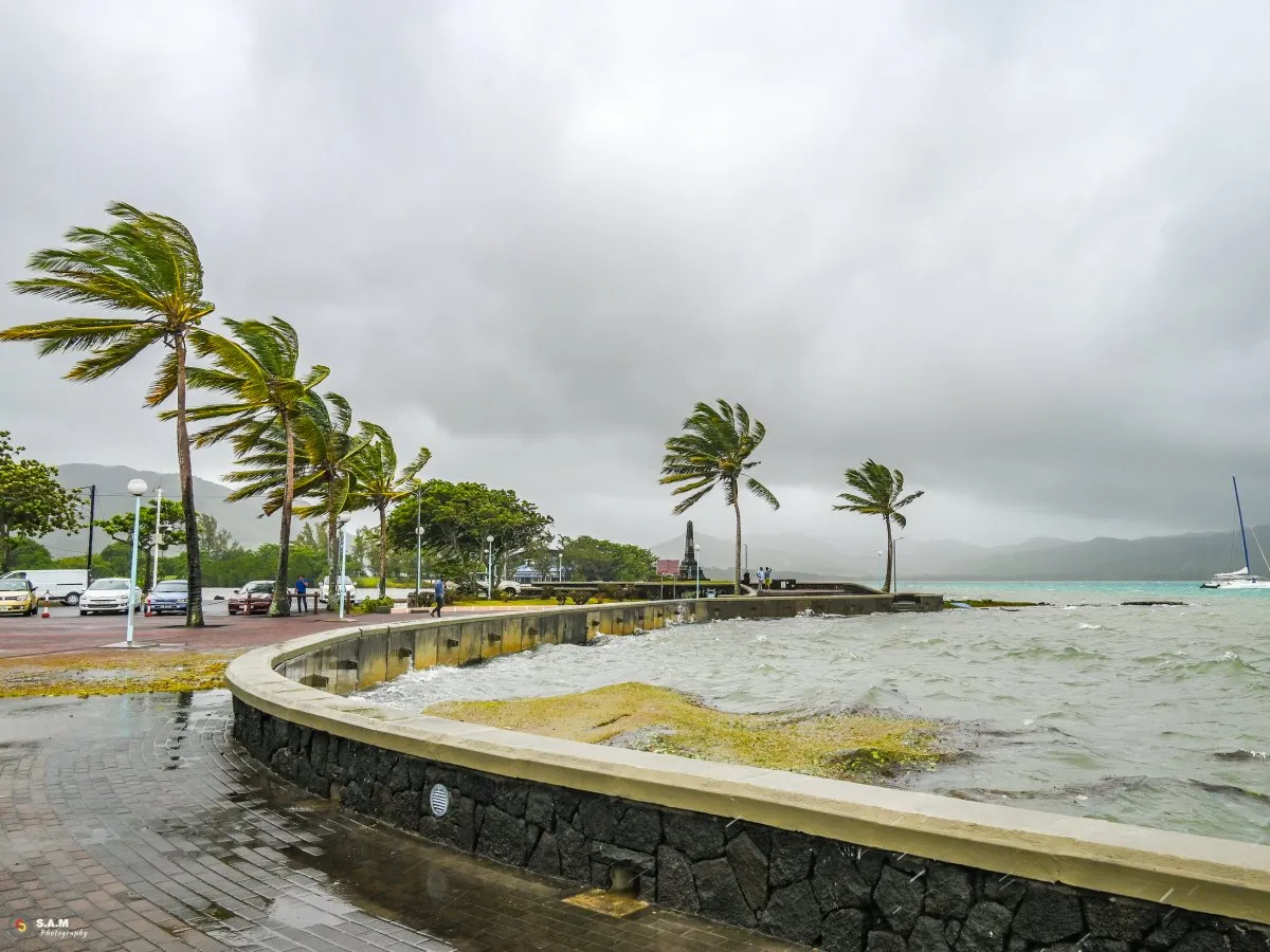 Strong cyclone winds blowing coconut trees at Mahebourg Waterfront in Mauritius