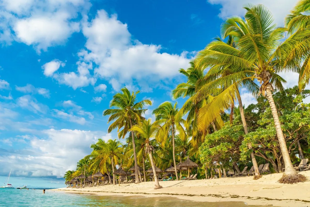 Secluded beach in Mauritius with coconut trees and blue sky by Le Paradis