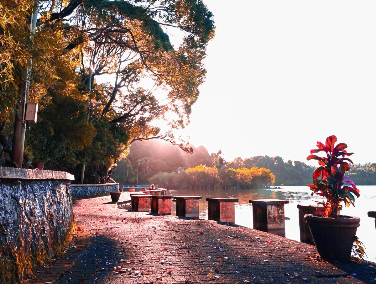 Golden hour view of the sacred Grand Bassin lake with trees in Mauritius