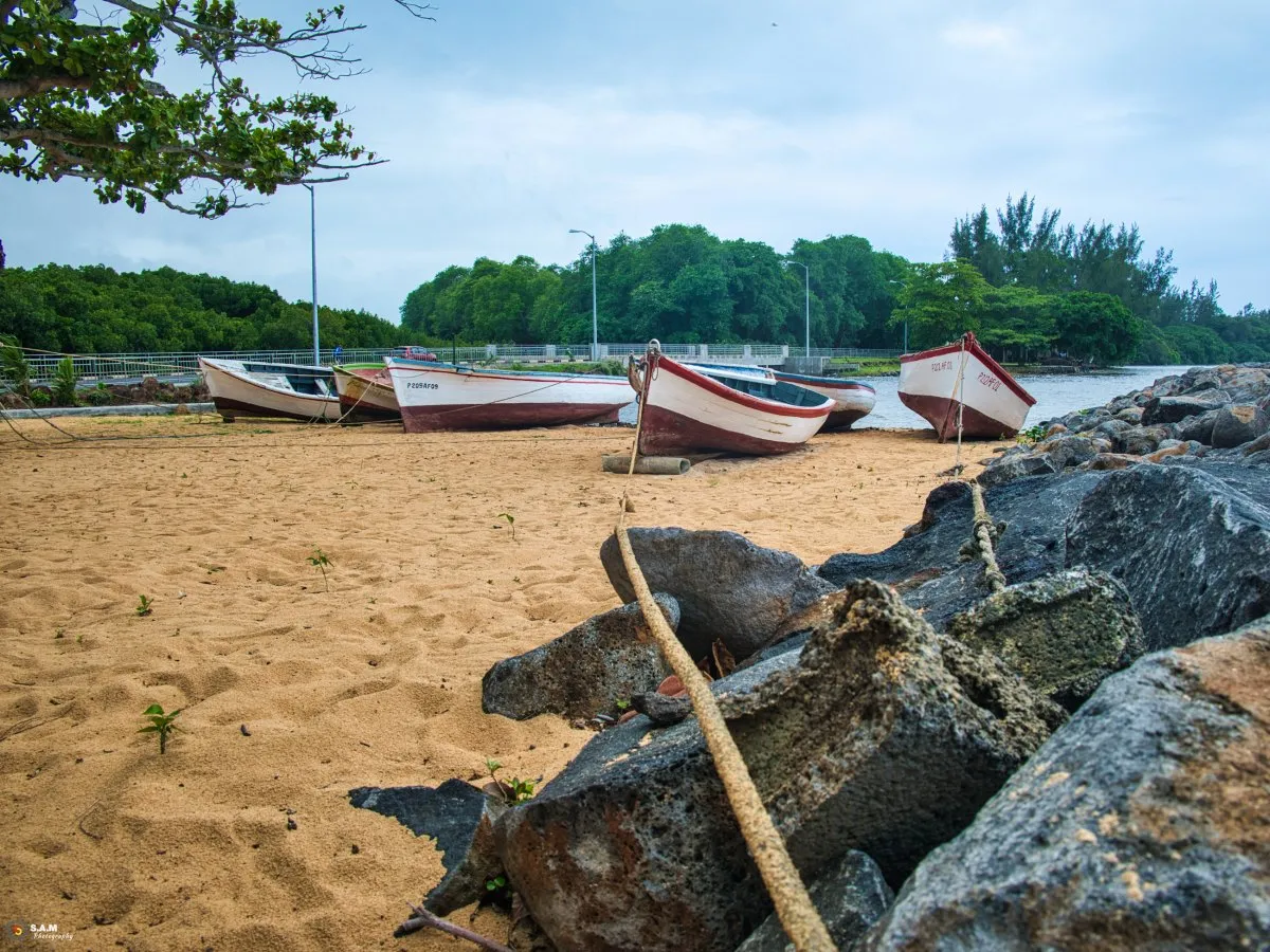 Wooden pirogues tied securely on the sandy St Felix beach in Mauritius under cloudy skies