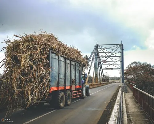 Sugarcane lorry crossing the Omnicane bridge at Riviere du poste