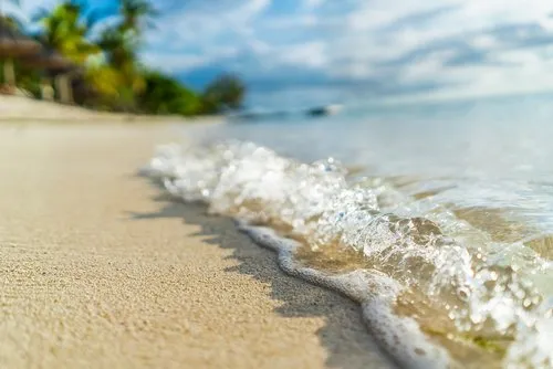 Amazing Beach shoreline sparkling sea foam